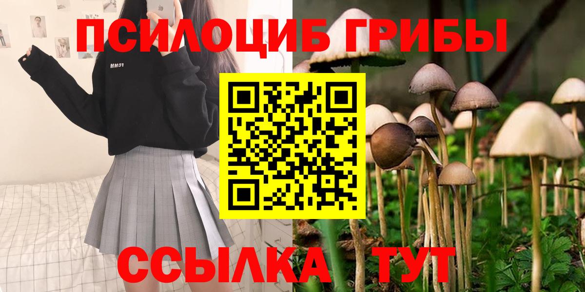 Кыштым  Псилоцибиновые грибы Psilocybe  Галлюциногенные грибы мицелий  Вход с VPN 