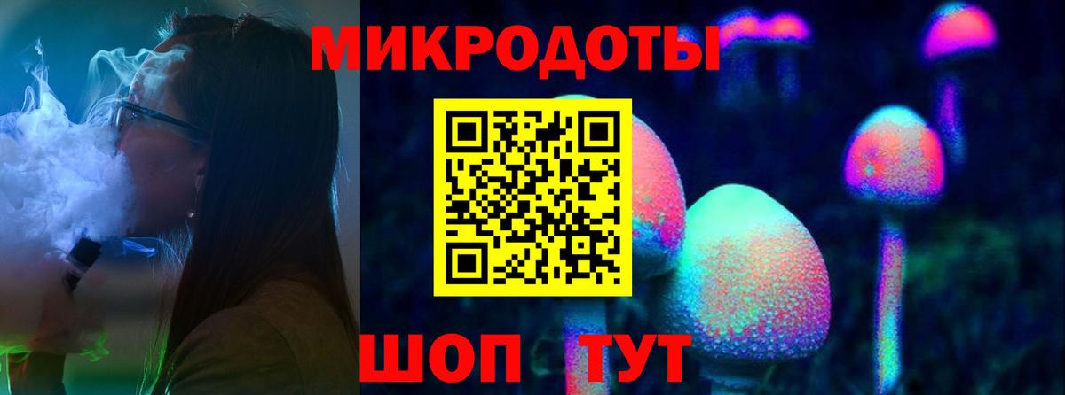 Галлюциногенные грибы Psilocybe Кыштым